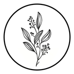 Eucalipt